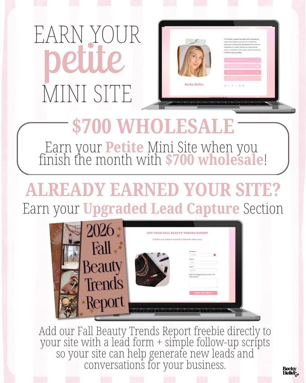 Mini Site Mini Site